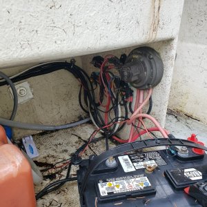 rats nest 2