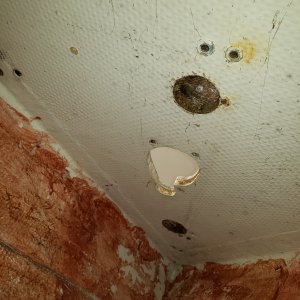 Bow Deck Test Holes
