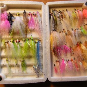 January fly box