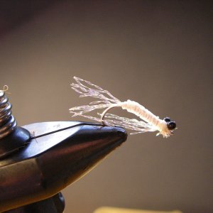 IMGP1299