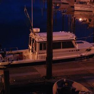 Media 'Tootsie Cat in Hoonah Aug 2010' in album 'Hunky Dory and Tootsie Cat in Hoonah. This photo highjacked from Jay.'