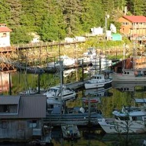 Media 'Inner Harbor Elfin Cove AK' in album 'Hunky Dory and Tootsie Cat in Hoonah. This photo highjacked from Jay.'