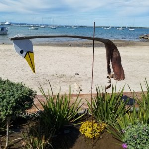 Mexicans can have such a simple but amazing creativity, a palm frond wind vane done for the city malacon.