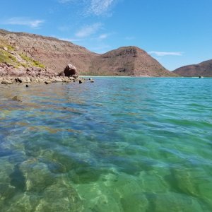 Lots of coral and tropical fish on the rocks along the shore of Ensenada de Cardonal