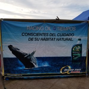 Looks like Quaker State has gone green in Mexico (4 stroke oil), Mexicans are evolving and becoming more environmentally conscious about the sea. They love all their whales especially.