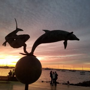 A sunset shot, another of the bronze mermaid playing with a dolphin sculpture on the La Paz Malacon.