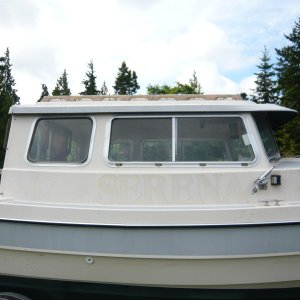 in need of a de-mossing and waxing
