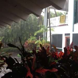 Media 'Rainy day' in album 'Family.  Nieces and uncles breakfast'