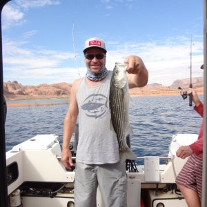 The boys got another one.