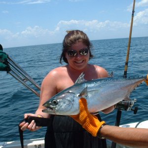 False Albacore off Pensacola, FL