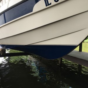 IMG 3590