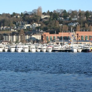 Seattle Boats A Float