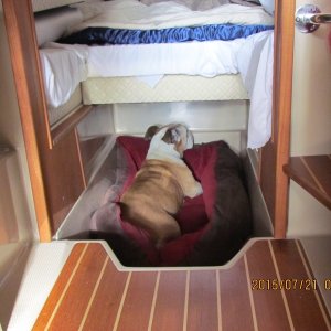 Lucy sleeps down here during the day and in the companion way at night