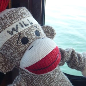 P1020385 Sock monkey left over from our C-Dory