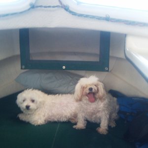 Max and Maci