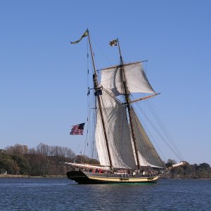 Media 'Topsail schooner Pride of Baltimore.' in album 'Schooner Sultana 1768/2001- home port Chestertown http://www.schoonersultana.com/.'