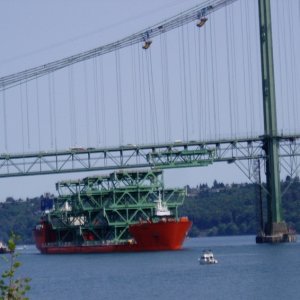 P8030137