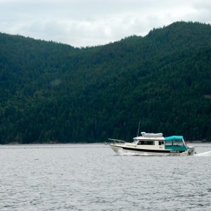 Frequent Sea leaving Princess Louisa Inlet
