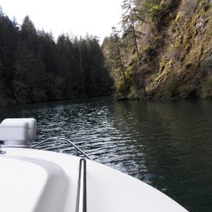 Media 'Steep canyon walls and lots of moss in the trees.' in album 'Lake Kokanee boat launch right next to the dam and power house'