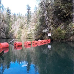 Media 'The lake ends where the current from the Lake Cushman dam gets stronger.  I think a CD 16 can get through.' in album 'Lake Kokanee boat launch right next to the dam and power house'