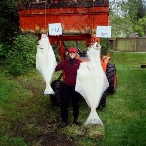 C-Lou with 150 lbs. of halibut.