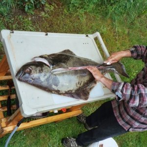 She catches 'em and I clean them. Hummm?
