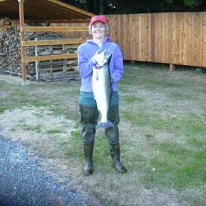 14 lb. hatchery coho (9-22-06) 002