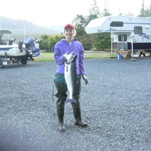 14 lb. hatchery coho