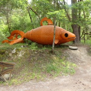 Giant fish