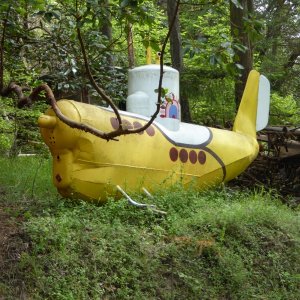 Yellow sub