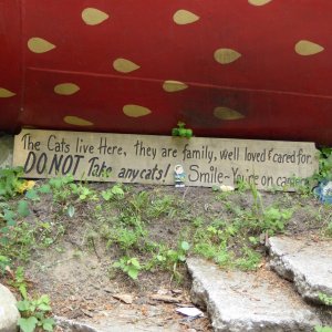 Sign on the Strawberry