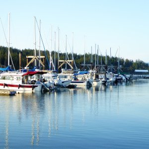 Back at the marina Thurs afternoon and other boats have now arrived.  Made 30-something miles on Thursday's ride.