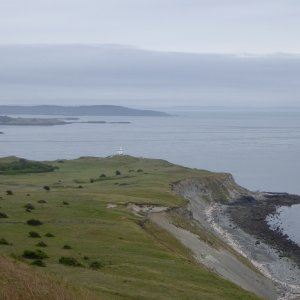 Looking south at Cattle Point