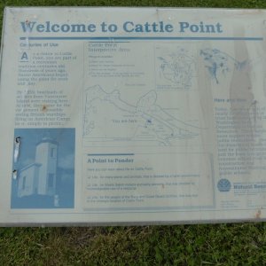 Cattle Point information