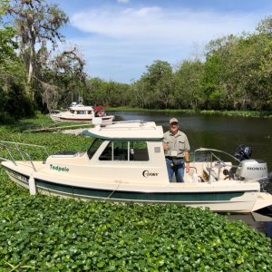 Tadpole \"Weed Anchoring\" for the first time.