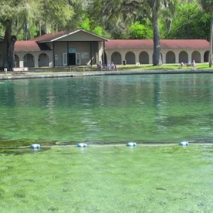 Deland Springs pool fed entirely by a natural spring. No chemicals added!