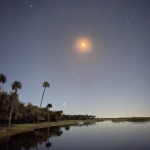 ? SpaceX Falcon 9 launch at midnight.....