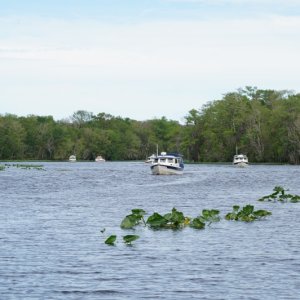 After the party cruise on Hontoon Dead River