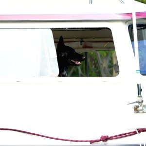 Who is driving???