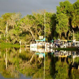 Volusa Bar Marina