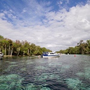 Clear water!