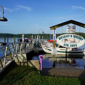 Wharf at Welaka