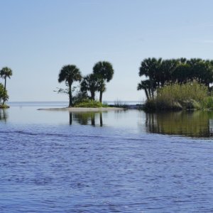 Entrance (from inside) at Salt Springs