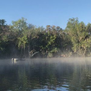 Net fisherman doing his thing in the fog at DeLeon Springs.