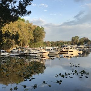 West dock at Hontoon SP