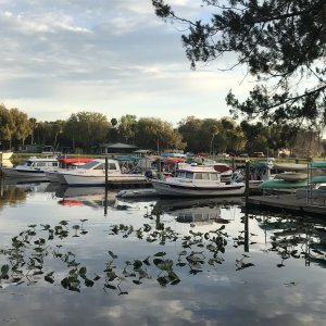 East dock at Hontoon SP