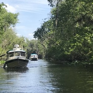 Coming out of the canal between St. John\'s River and Hontoon Dead River, during the Hontoon Loop Tour