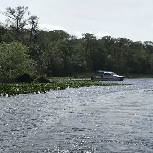 Coming out of the canal between St. John\'s River and Hontoon Dead River, during the Hontoon Loop Tour