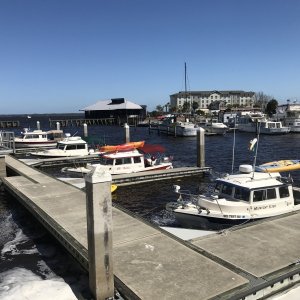 It was pretty windy at Sanford. Here you can see the water churned up more, even at the docks.