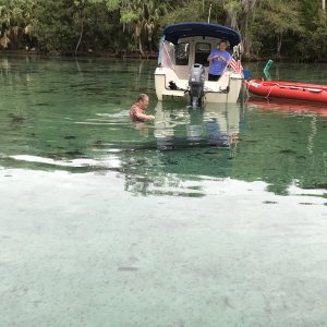 Manatee checking out Little Joes Mike